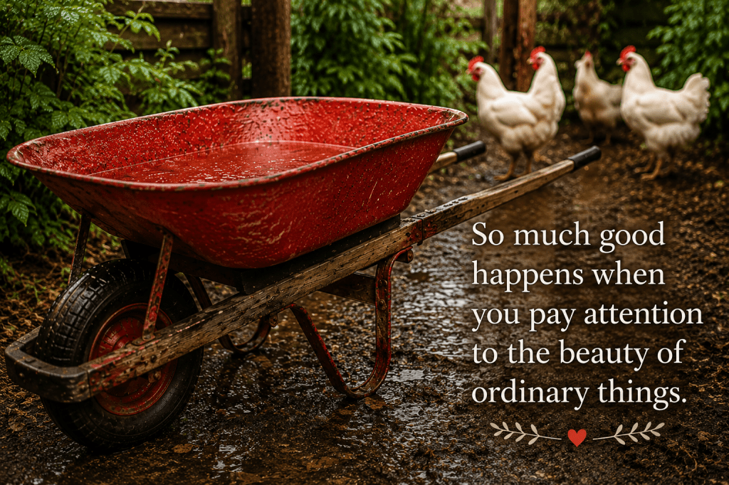 A red wheelbarrow with the statement "so much good happens when you pay attention to the beauty of ordinary things.